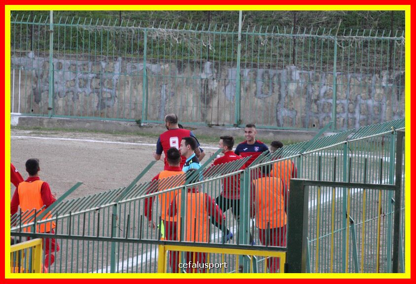 181111 Cepha_Milazzo 101_tn.JPG